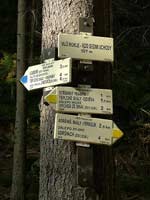 Wolf Gorge signpost