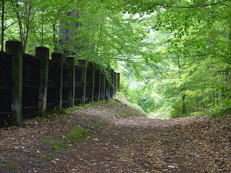 A leafy lane near Sychrov chateau