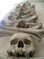 Bone decorations in the Kutna Hora ossuary